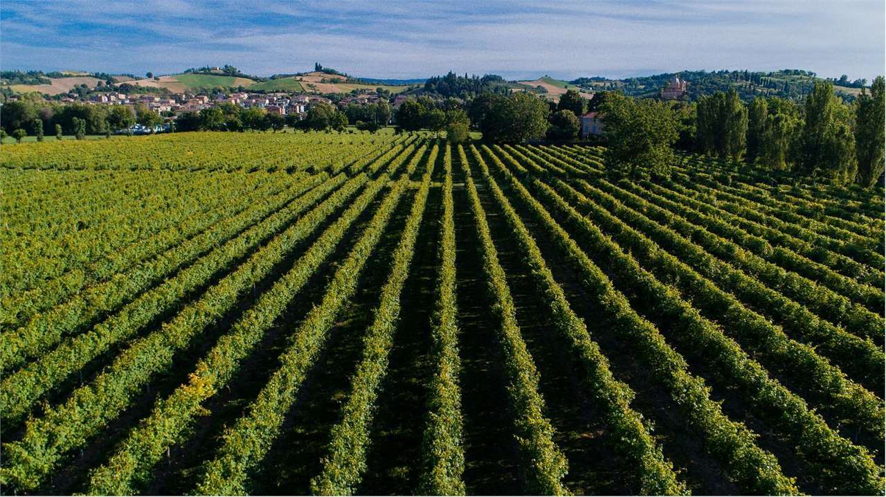 immagine annuncio 3 di 7