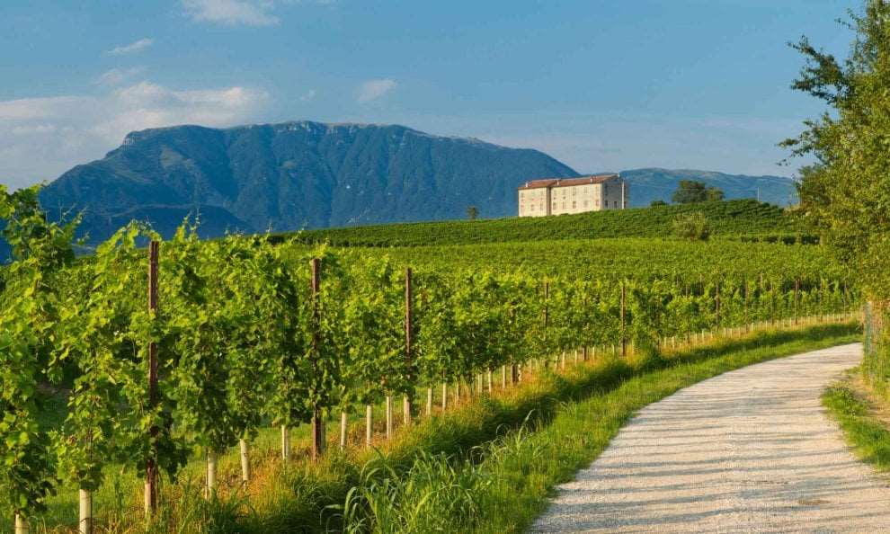 immagine annuncio 5 di 7