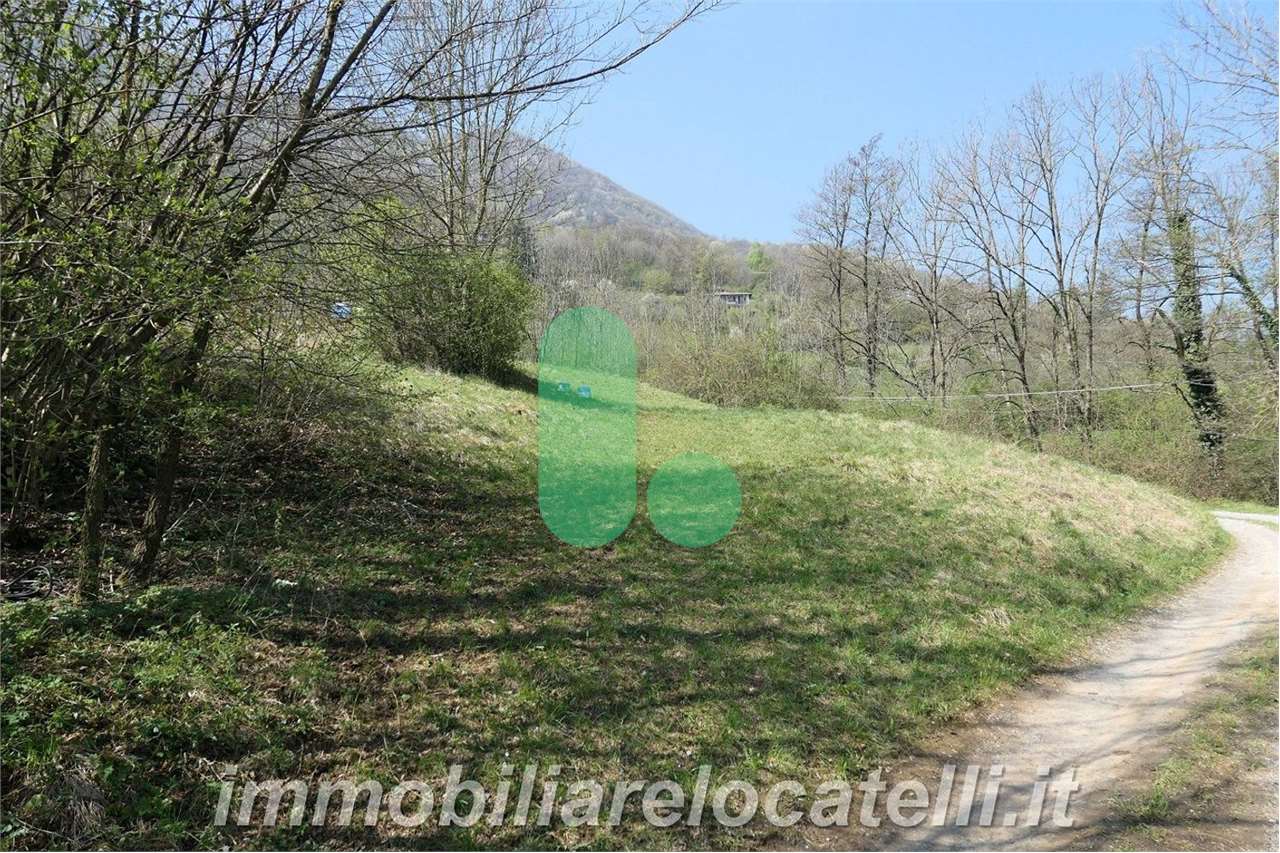 immagine annuncio 1 di 9