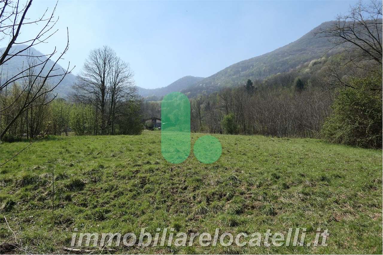 immagine annuncio 4 di 9