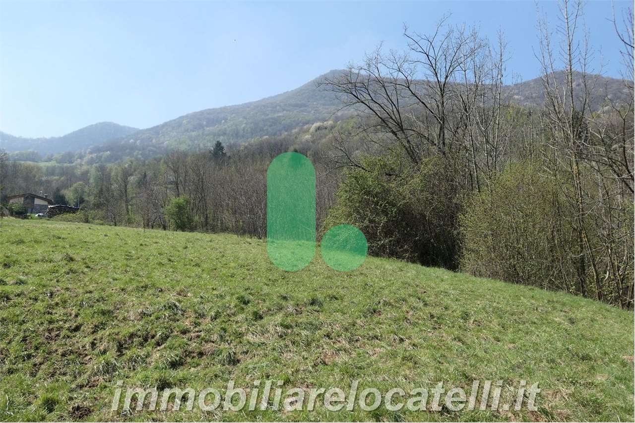 immagine annuncio 5 di 9