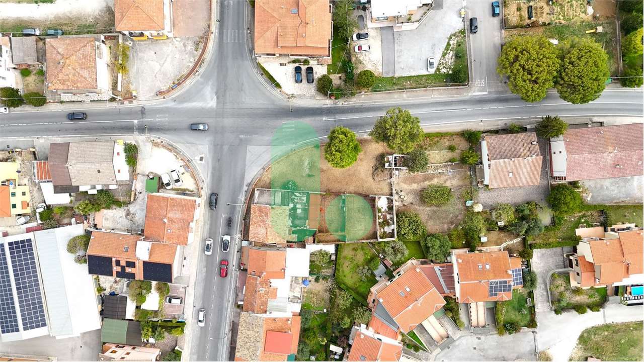 immagine annuncio 4 di 12