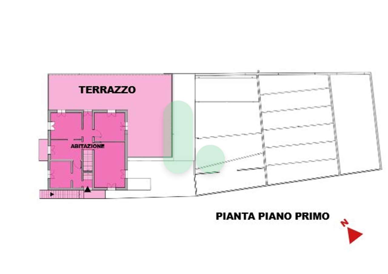 immagine annuncio 10 di 12