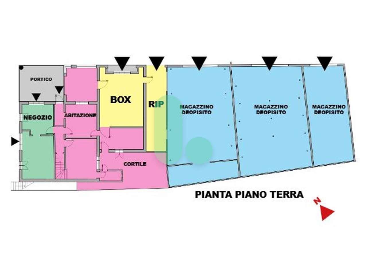 immagine annuncio 11 di 12