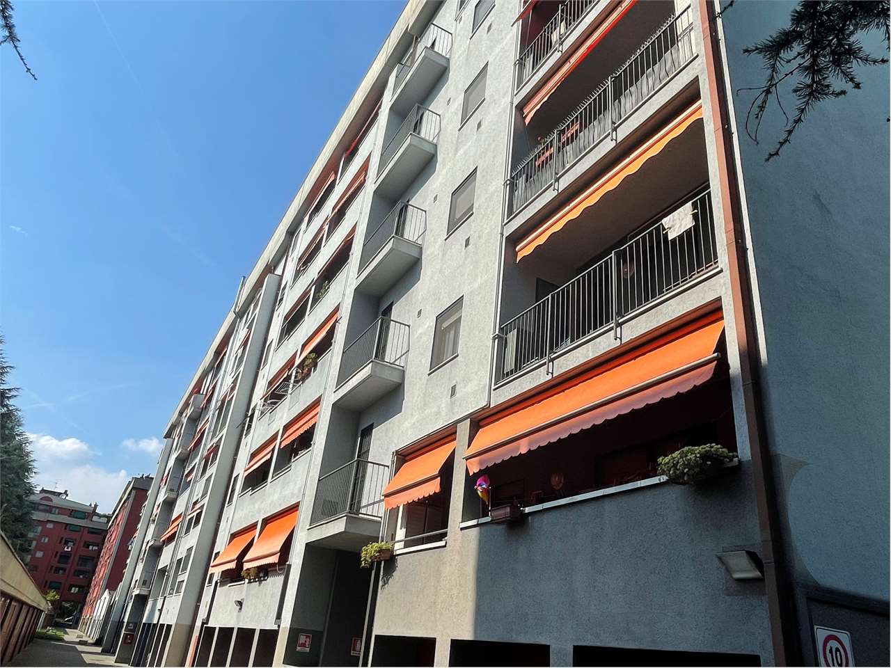 immagine annuncio 3 di 10