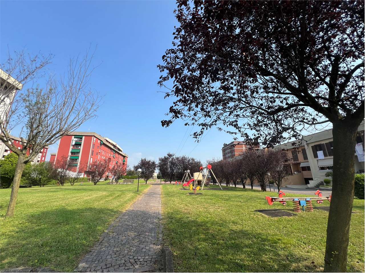 immagine annuncio 5 di 10