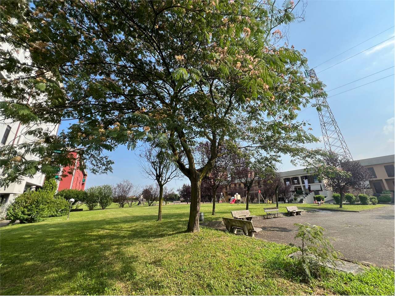 immagine annuncio 7 di 10