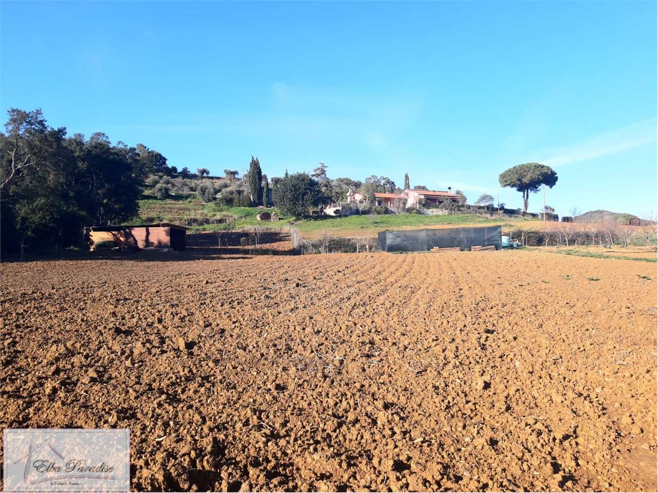 Azienda agricola in vendita a Capoliveri (LI)