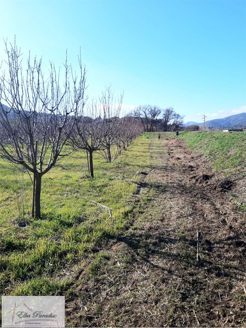 Terreno agricolo in vendita a Capoliveri (LI)