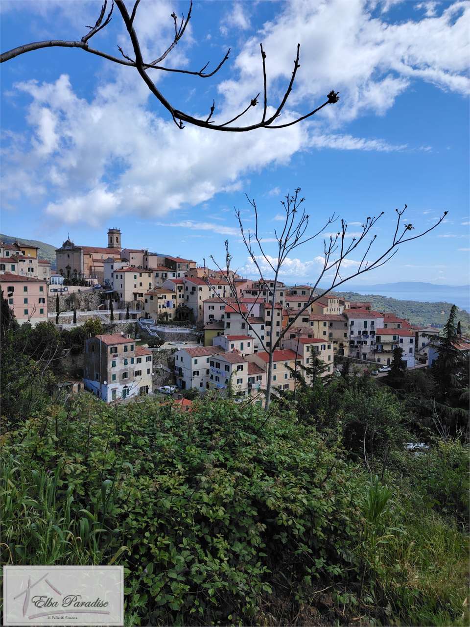 immagine annuncio 12 di 13
