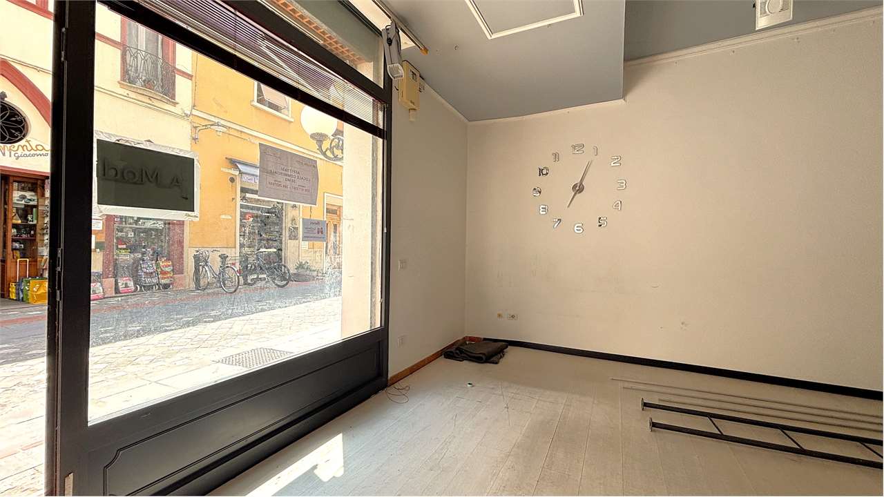 immagine annuncio 5 di 14