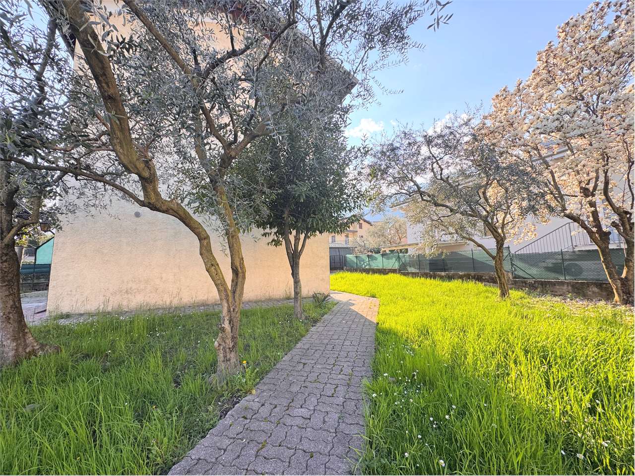 immagine annuncio 10 di 13