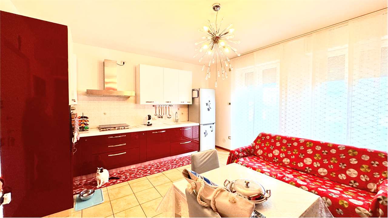 immagine annuncio 1 di 13