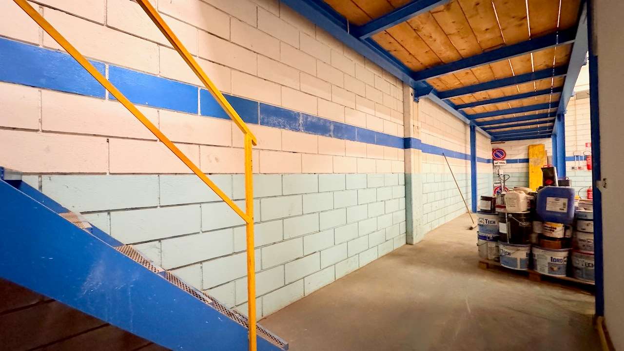 immagine annuncio 4 di 15