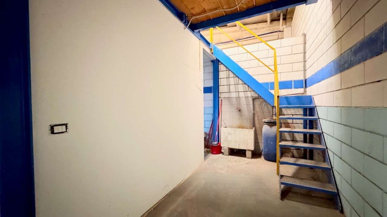 immagine annuncio 5 di 15