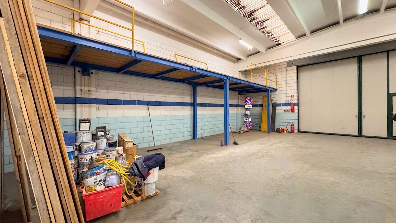 immagine annuncio 3 di 15