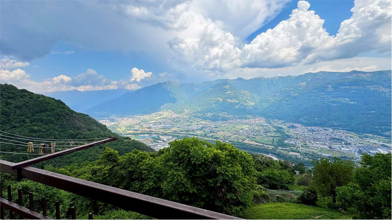 immagine annuncio 10 di 14