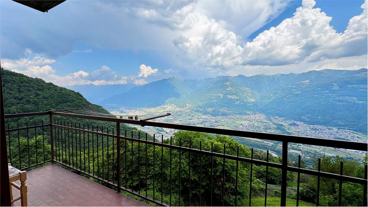 immagine annuncio 11 di 14