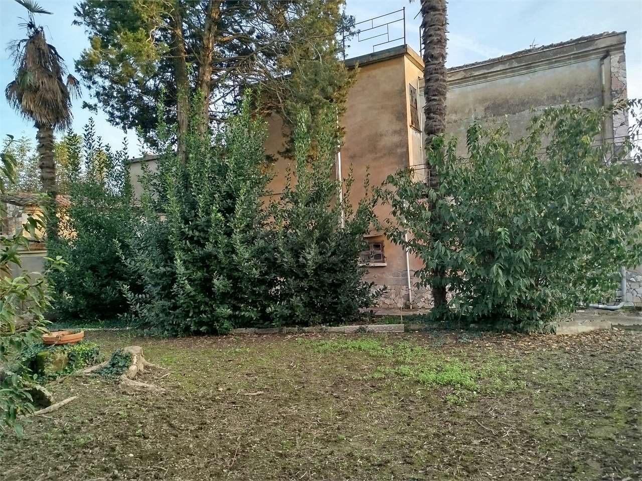 immagine annuncio 7 di 9