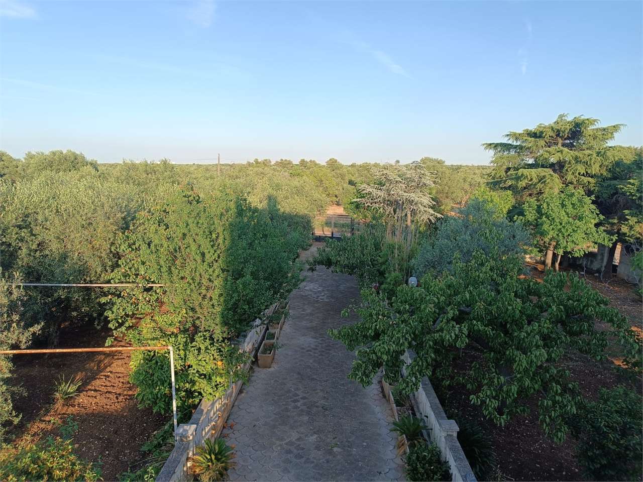 Villa in vendita a Bitonto (BA)
