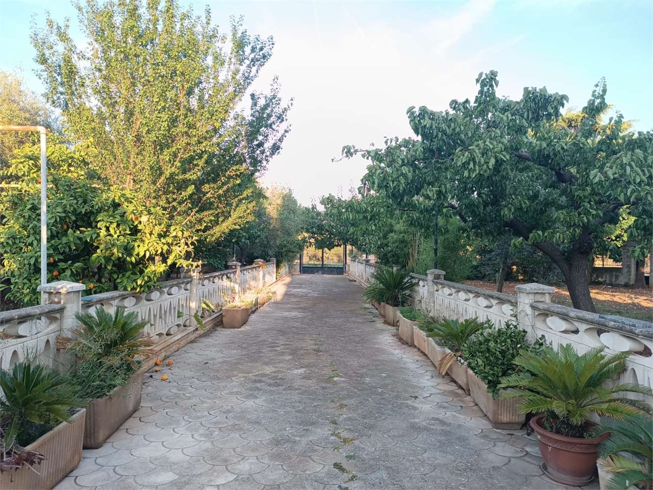 Villa in vendita a Bitonto (BA)