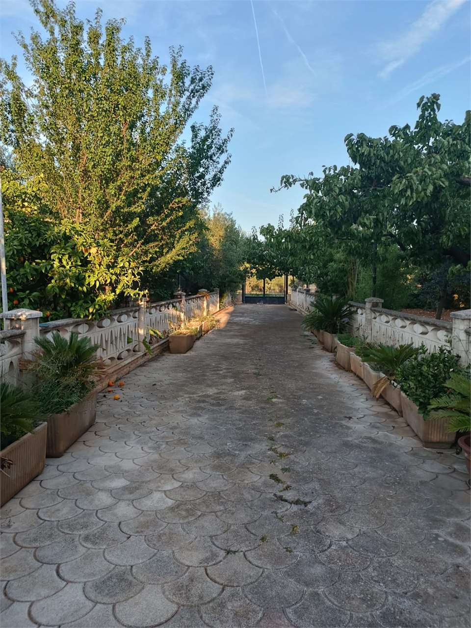 Villa in vendita a Bitonto (BA)