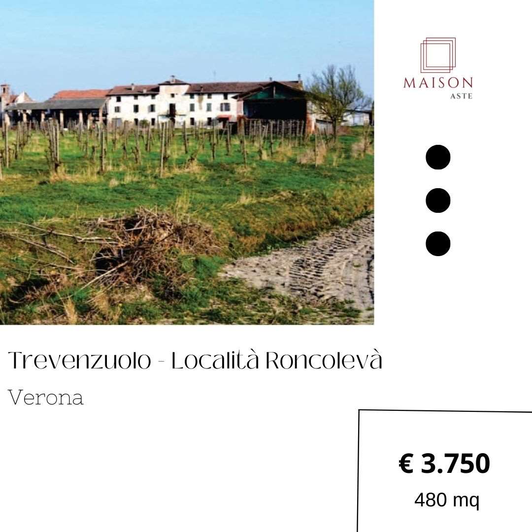Porzione di casa in vendita a Trevenzuolo (VR)