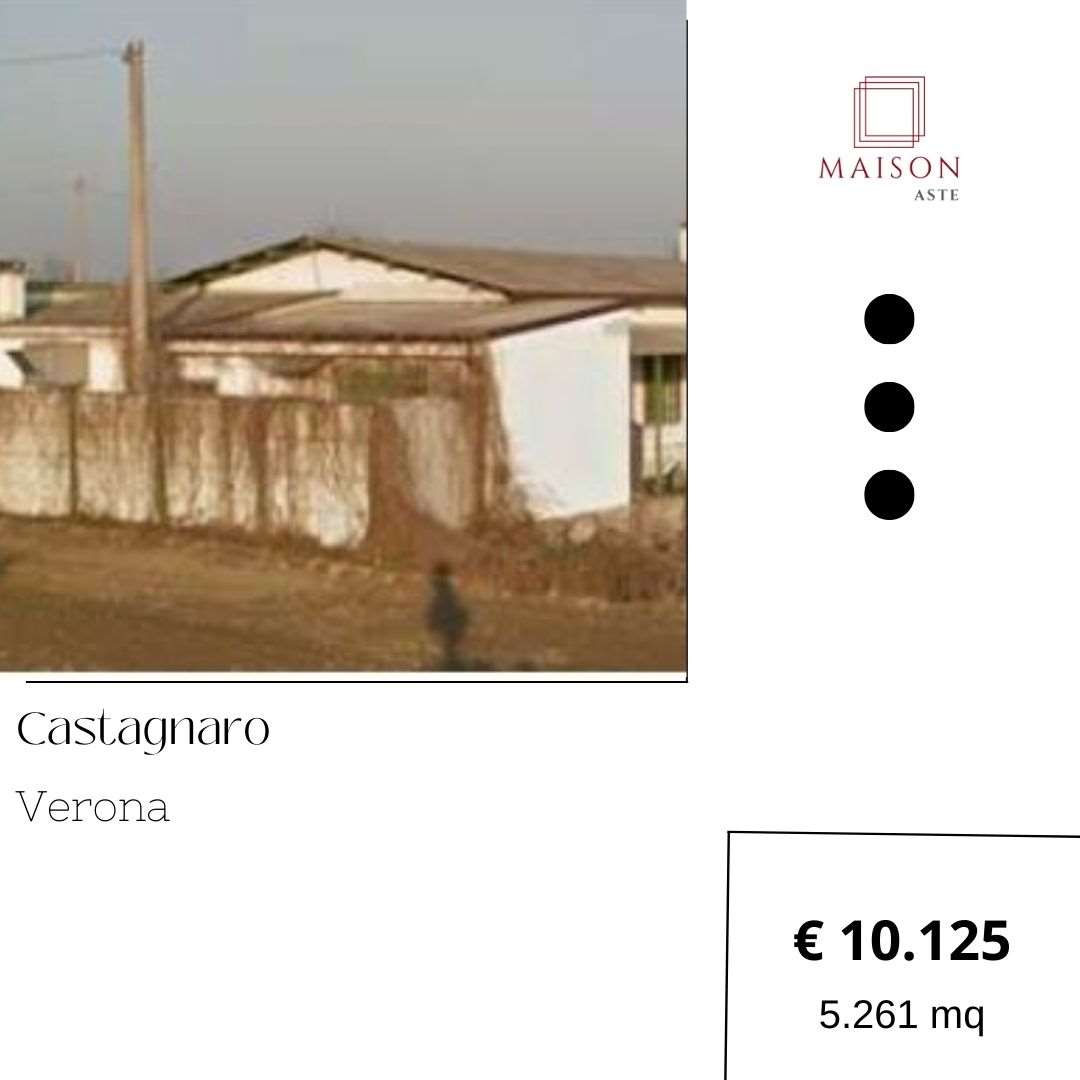 Negozio in vendita a Castagnaro (VR)