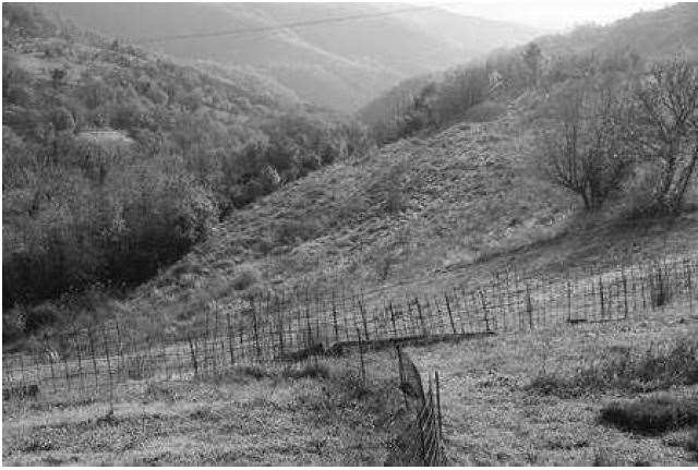 Terreno agricolo in vendita a Tregnago (VR)