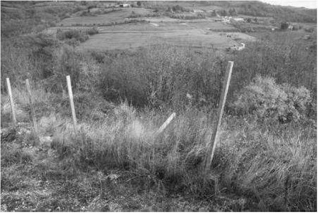 Terreno agricolo in vendita a Tregnago (VR)