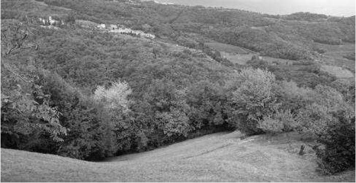 Terreno agricolo in vendita a Tregnago (VR)