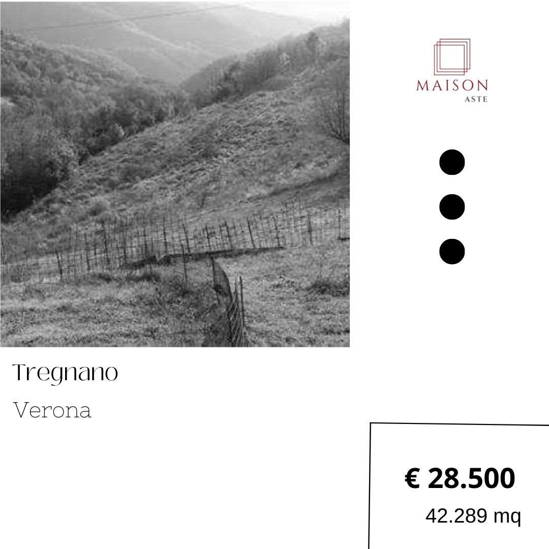 Terreno agricolo in vendita a Tregnago (VR)