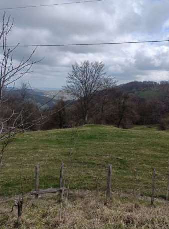 U1116/24 - Terreno agricolo a Casteldelci (RN)