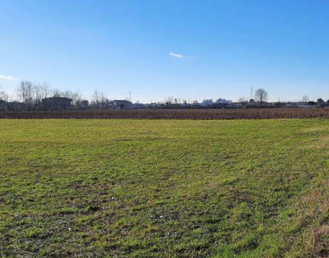 G373/24 - Terreno agricolo a Tezze sul Brenta (VI)