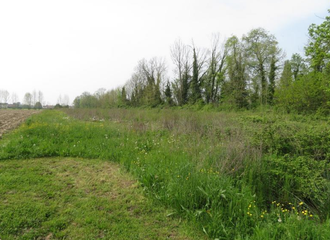 E2440/24 - Terreno a Santa Maria di Sala (VE) 