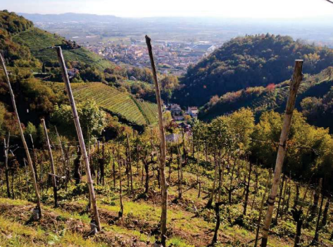 A2172/24 - Terreno e rustico  a Farra di Soligo (TV)