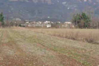 A2179/24 - Terreni agrari ad Aviano (PN)