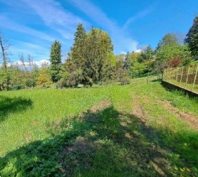 T676/24 - Terreno agricolo a Buguggiate (VA)