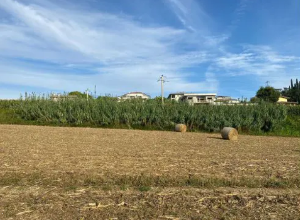 E2380/24BIS - Terreno agrario a Pastrengo (VR)