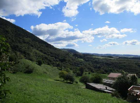 U1175/24TRIS - Terreni agricoli a Sant'Anna d'Alfaedo (VR)