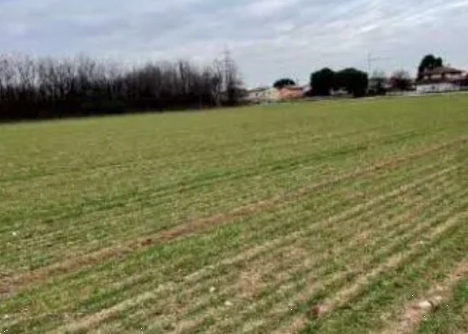 P519/24 - Terreno agricolo a Gallarate (VA)