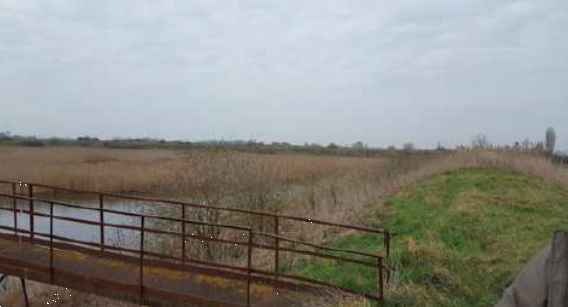 T754/24 - Terreni agricoli a San Pietro in Casale (BO)