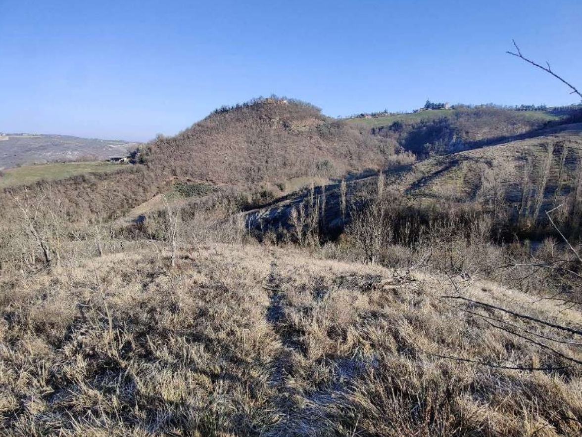 P547/24 - Terreni agricoli a Guiglia Modena(MO)