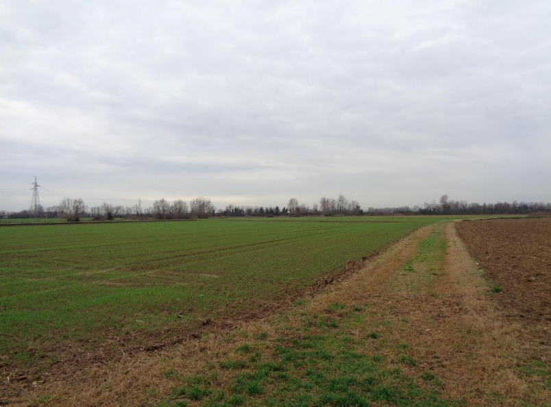 P581/24 - Terreno agricolo a Verona(VR)