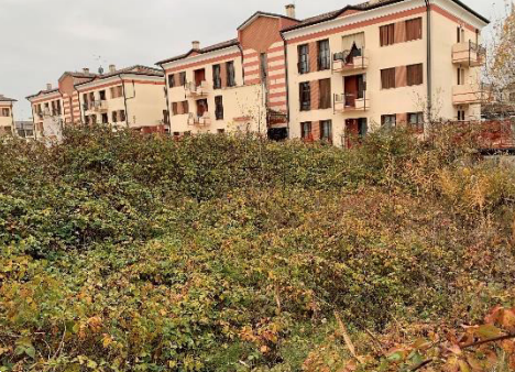 P69/25 - Terreno edificabile a Cologna veneta(VR)