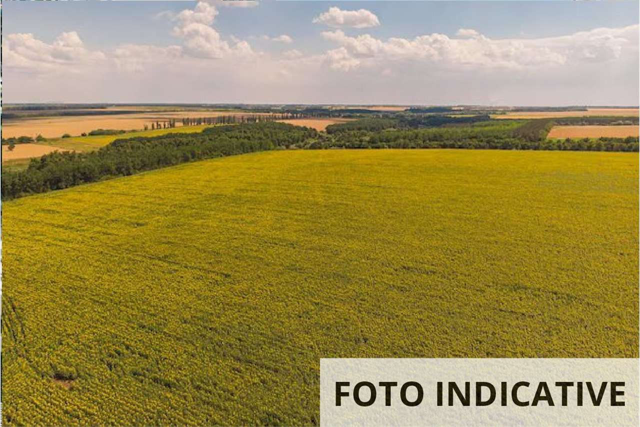 E238/25 - Terreno agricolo a Vicchio (FI)