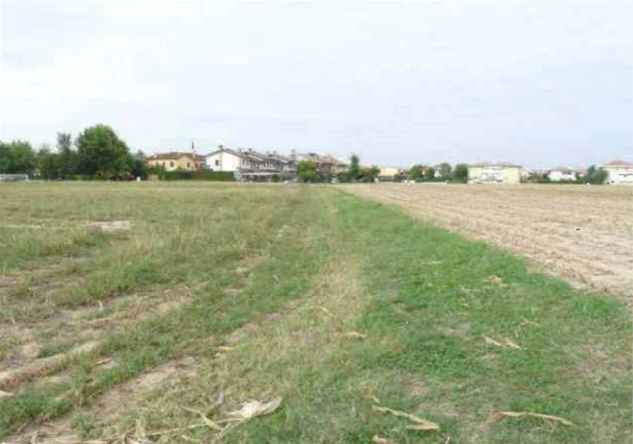 P1468/25BIS - Terreno agricolo a Rubano (PD)