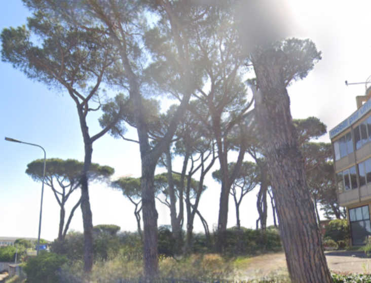 BL1111/25 - Terreno a Roma (RM)