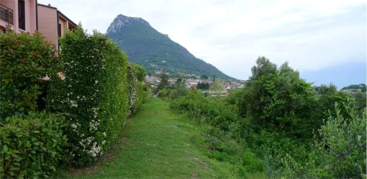 P2719/25 - Terreni agricoli a Toscolano-Maderno (BS)