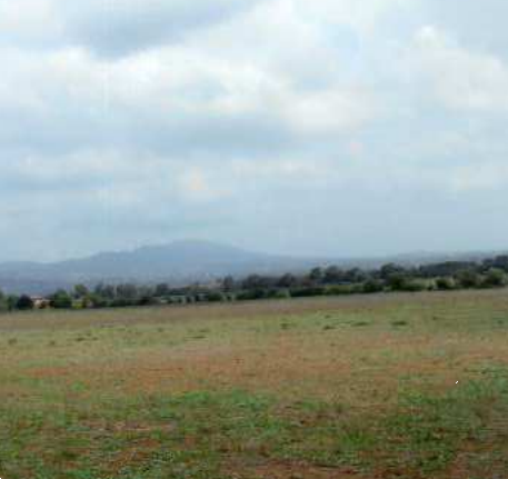 A2810/25BIS - Terreno a Lanuvio (RM)